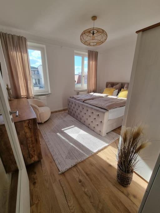 Altstadt-Oase Mit Traumblick Dresda Esterno foto